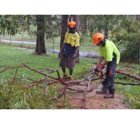 Remote Area Tree Services - Virginia, NT