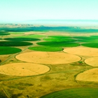 Navajo Agricultural Products Industry, NAPI