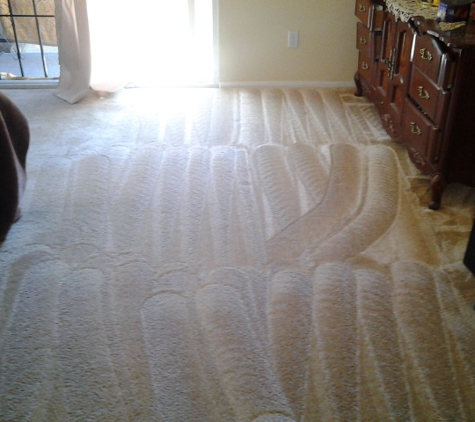 BW Carpet Cleaning