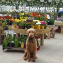 Catalpa Grove Farm & Market - Fruit & Vegetable Markets