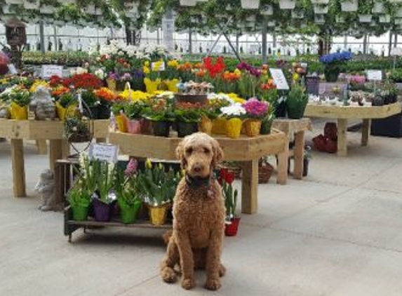 Catalpa Grove Farm & Market - Columbiana, OH