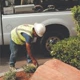 AA Landscape Maintenance