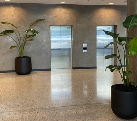 Greenfingers Indoor Plant Hire - Greenwith, SA
