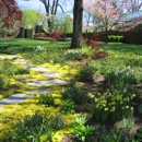 Ultimate Services Professional Grounds Management - Landscaping & Lawn Services