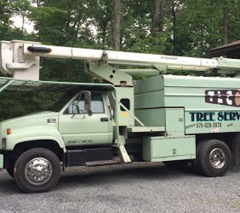 tlc tree service - Dingmans Fry, PA