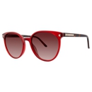 Eyeweb Eyewear - Opticians