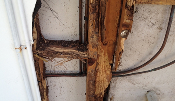 Amalgamated Pest Control - Arcadia, QLD