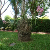 Gallery Image Number 5