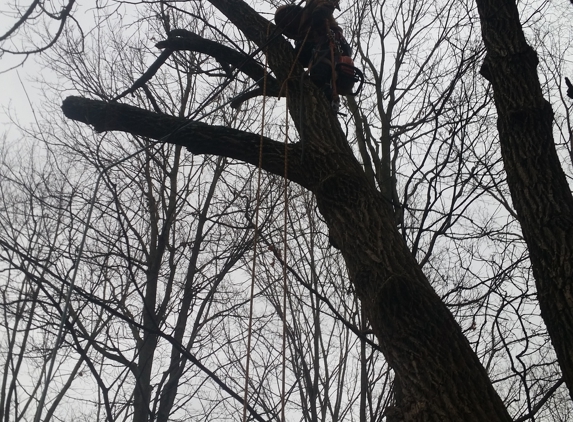 TreeWorkz LLC - Fishers, IN