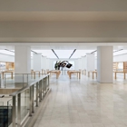 Apple Montgomery Mall
