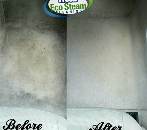 Fresh Eco Steam Cleaning LLC