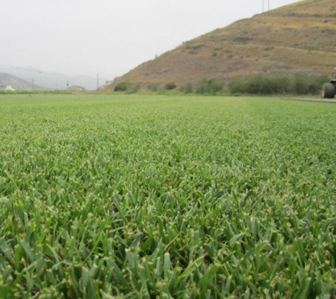 Valley Sod Farm Inc - Los Angeles, CA