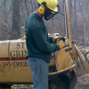 A & L Tree Experts - Stump Removal & Grinding