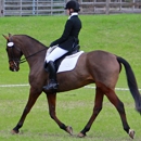 Emily Ragan Eventing At Hidden Bridge - Horse Dealers