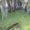 Alligator Lake Recreation Area gallery