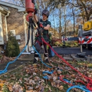 Green Holly Arborists - Arborists