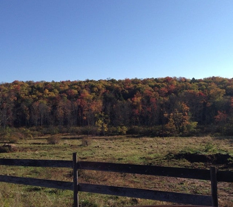 Fosterdale Motor Lodge - Cochecton, NY