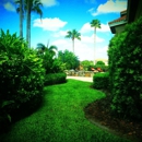 TLC Property Maintenance - Landscaping & Lawn Services
