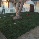 Carlitos gardening - Landscaping & Lawn Services