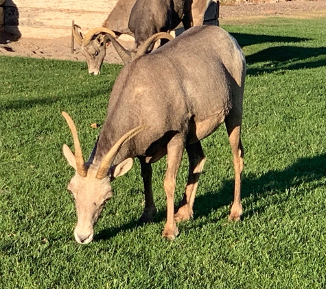 Hemenway Park - Boulder City, NV