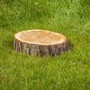 Level Ground Stump Removal - Stump Removal & Grinding