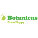 Botanicus Interior Landscaping - Holiday Lights & Decorations