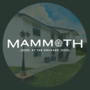 Mammoth at the Orchard Apartments - Apartments