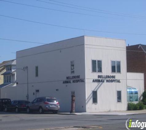 Bellerose Animal Hospital - Bellerose, NY