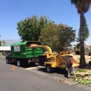 H & E Tree Service - Tree Service