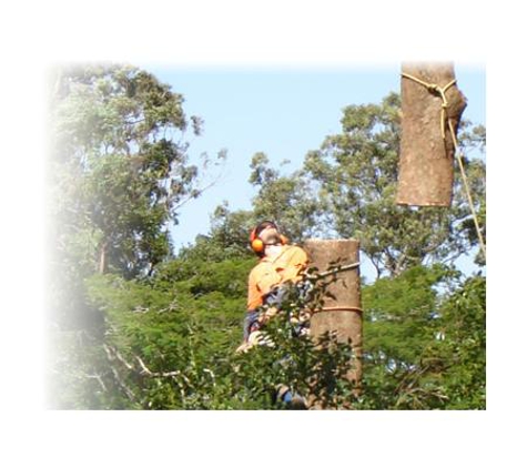 Power Clear Pty Ltd - Burleigh Heads, QLD
