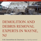 D.M. Demolition & Cleanouts