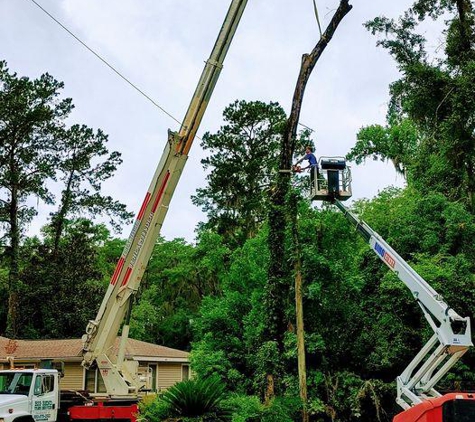 Big Bend Tree Service - Tallahassee, FL