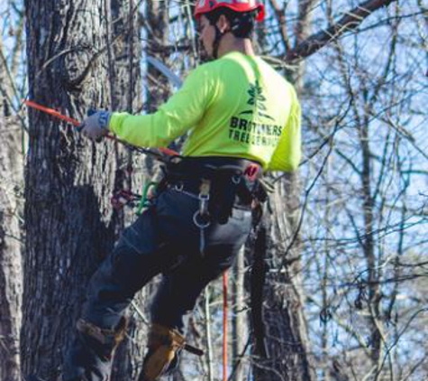 Brothers Tree Service