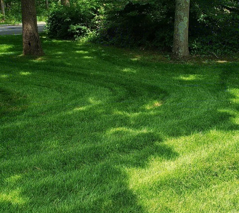 Just Lawn Care, LLC - Centereach, NY