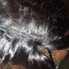 Helen's African Hair Braiding gallery