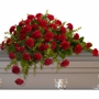 La Paloma Funeral Services