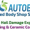 Eco Auto Body Hail Repair gallery