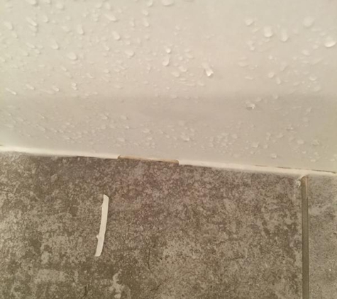 Terrace Bathrooms - Raymond Terrace, NSW. Grout lifting in shower area.