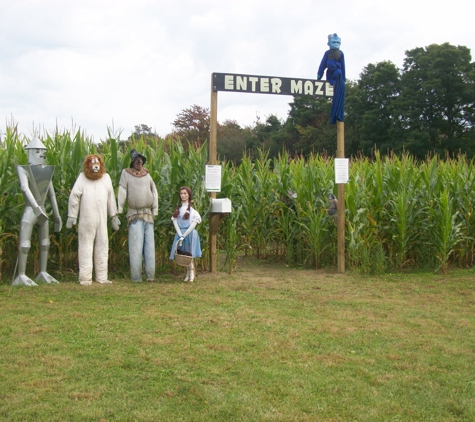 Sissons Pumpkin Patch - Girard, PA. Corn Maze