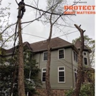 Wildwood Tree Service