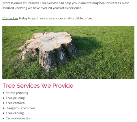 Braswell Tree Service - Saint Francisville, LA