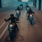 Wilkins Harley-Davidson Motorcycle Sales