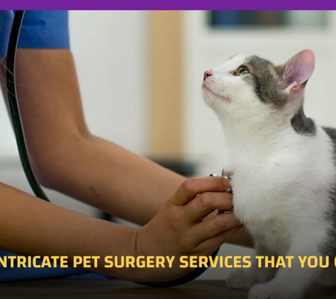 Orchard Hills Veterinary Hospital - Orchard Hills, NSW. Expert & Intricate Pet Surgery Services That You Can Trust!