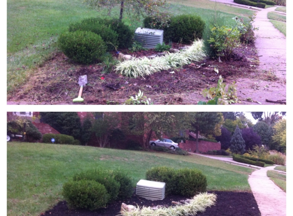 True Lines Professional Lawn Care - Louisville, KY