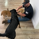 Bak9 - Dog Training