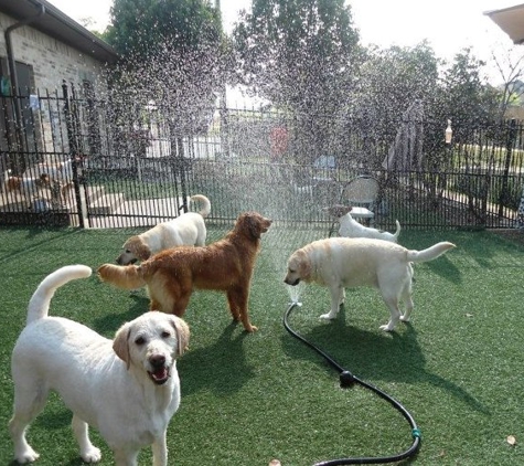 Bark N Lounge Pet Resort - Keller, TX