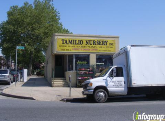 A & A Tamilio Nursery Inc - Brooklyn, NY