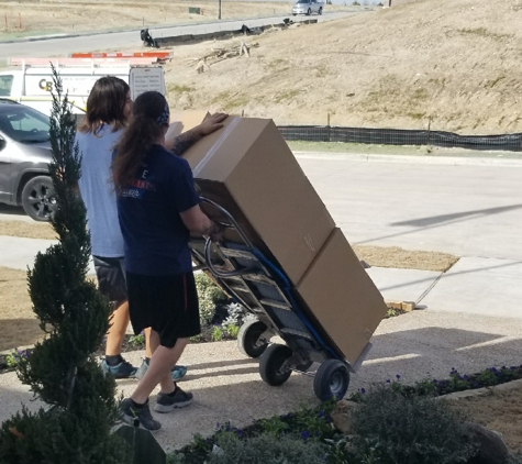 Great White Moving Company - Argyle, TX