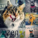 Zen Pet Care Services - Pet Training