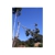 Sapphire Coast Tree Service & Tower Hire - Firewood